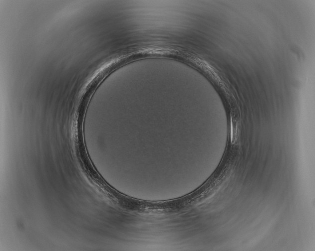 X0000112910531200909211033