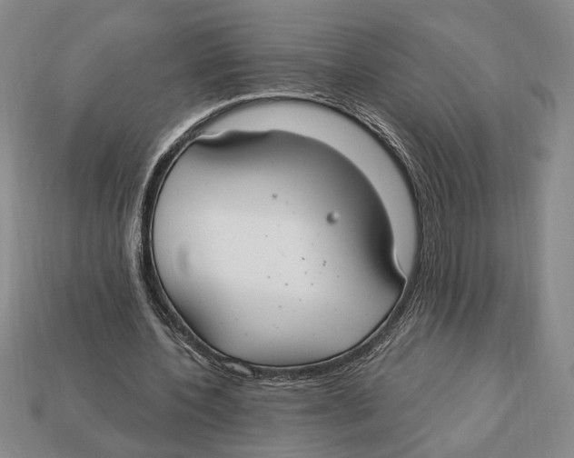 X0000112910532200909211033