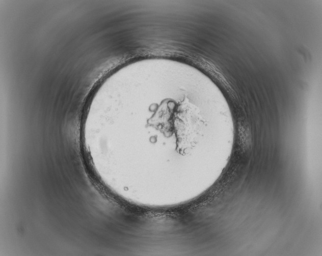 X0000112910534200909211033