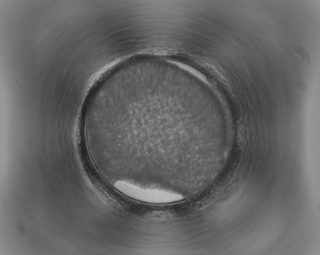 X0000112910536200909211033