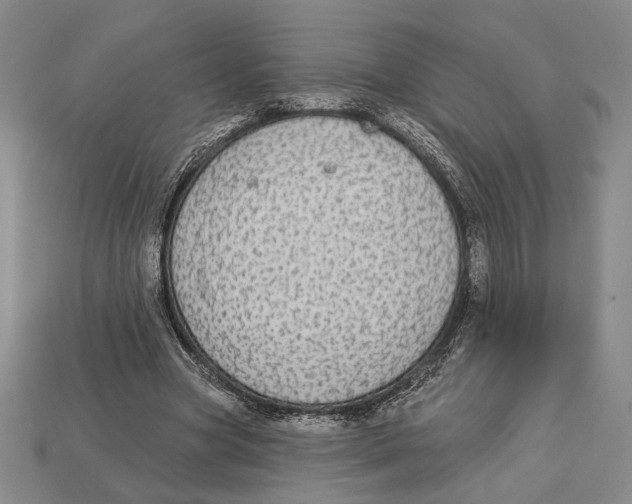X0000112910537200909211033
