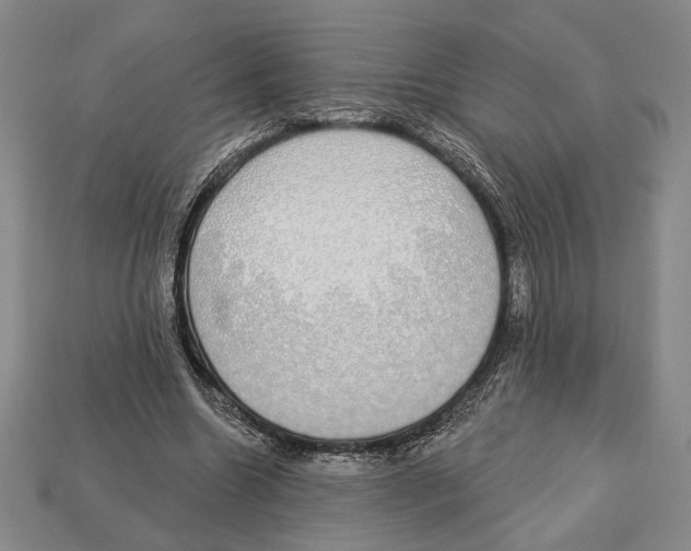 X0000112910538200909211033