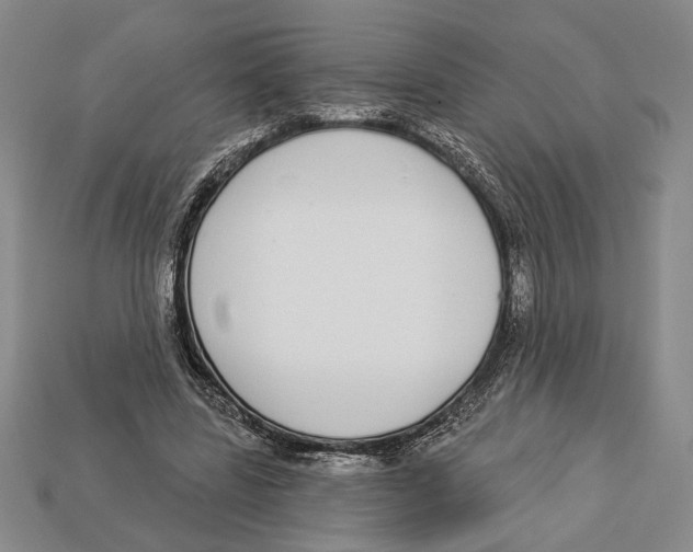 X0000112910539200909211033