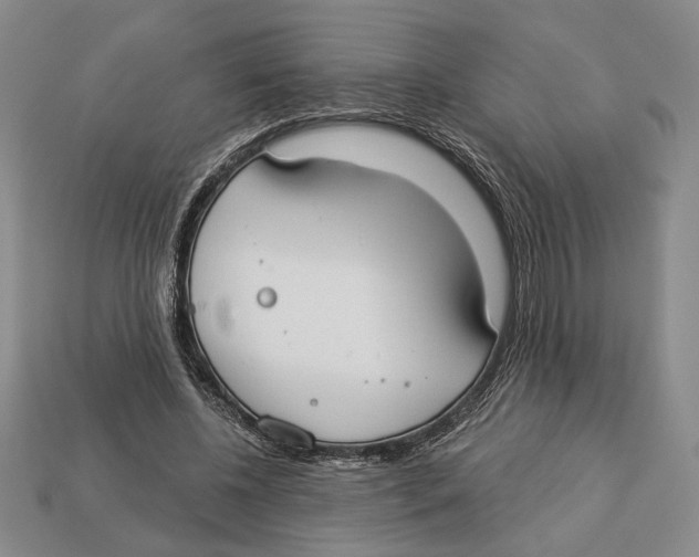 X0000112910540200909211033