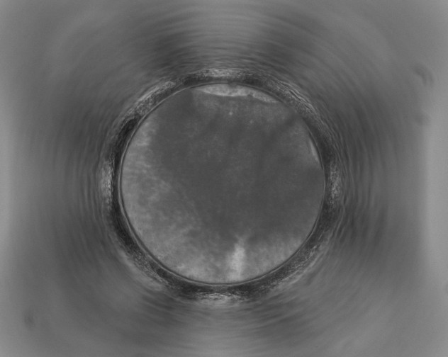 X0000112910542200909211033