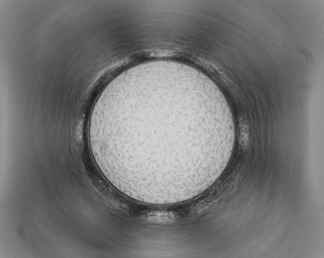 X0000112910543200909211033