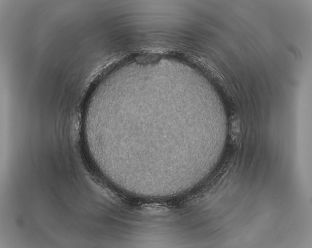 X0000112910544200909211033