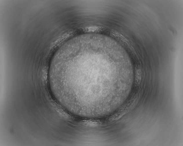 X0000112910545200909211033