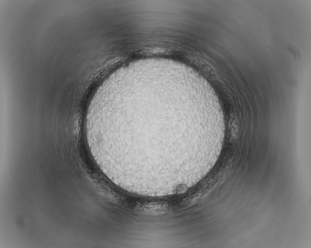 X0000112910546200909211033