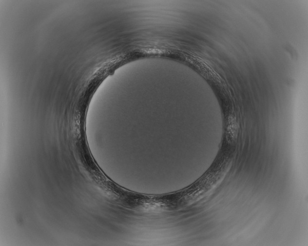 X0000112910547200909211033