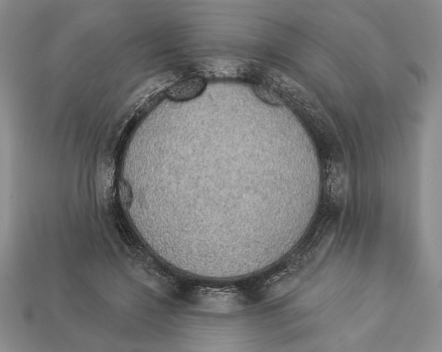 X0000112910548200909211033