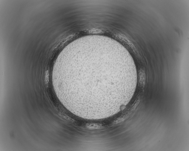 X0000112910549200909211033