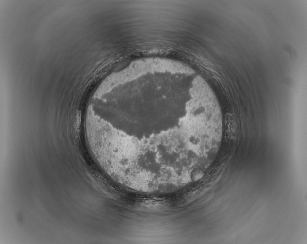 X0000112910550200909211033