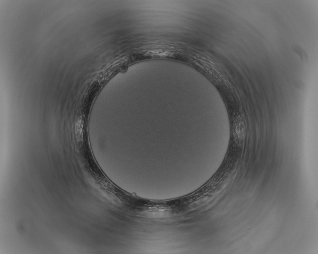 X0000112910551200909211033