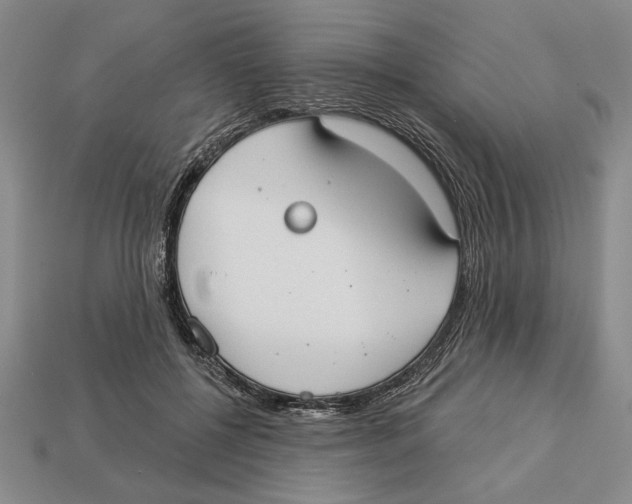 X0000112910552200909211033