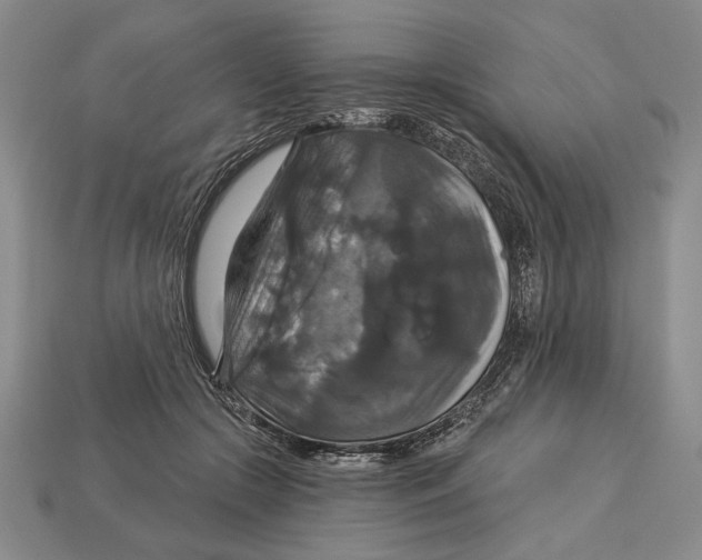 X0000112910553200909211033