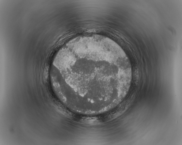 X0000112910554200909211033