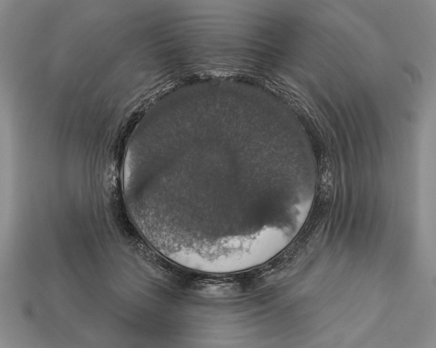 X0000112910555200909211033