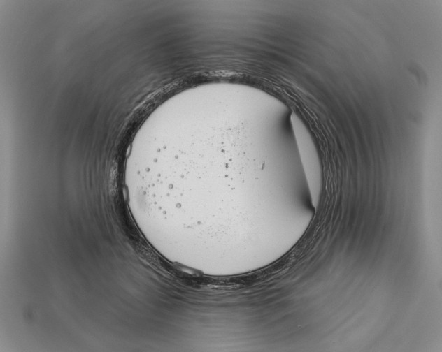X0000112910556200909211033