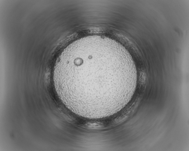 X0000112910557200909211033