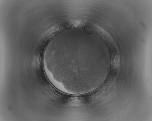X0000112910558200909211033