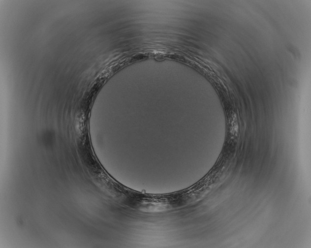 X0000112910559200909211033