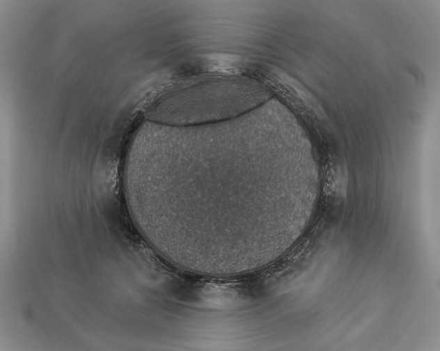 X0000112910560200909211033