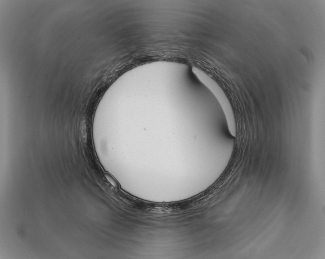 X0000112910562200909211033