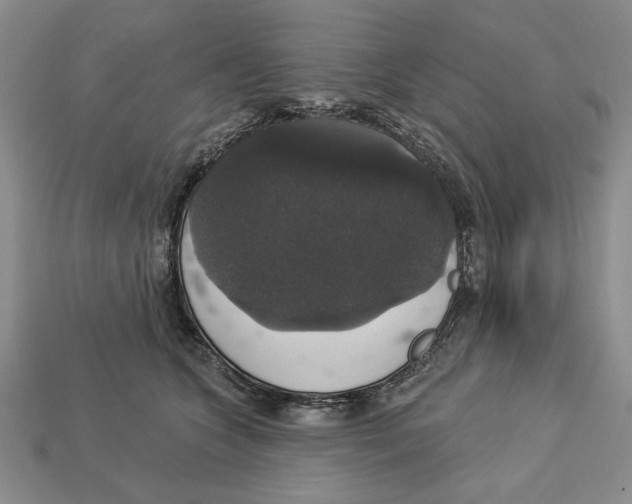X0000112910563200909211033