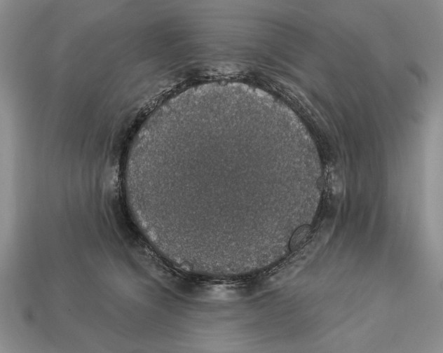 X0000112910564200909211033