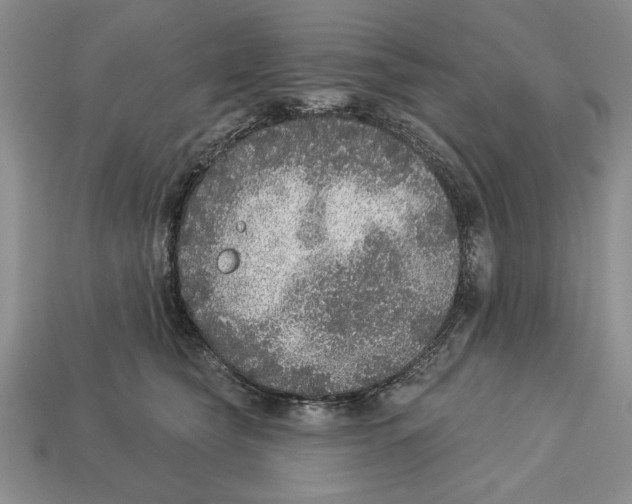 X0000112910565200909211033