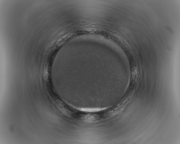 X0000112910566200909211033