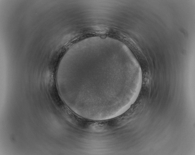 X0000112910568200909211033