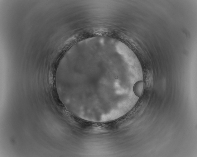X0000112910569200909211033