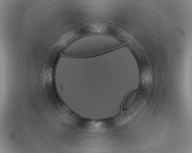 X0000112910570200909211033
