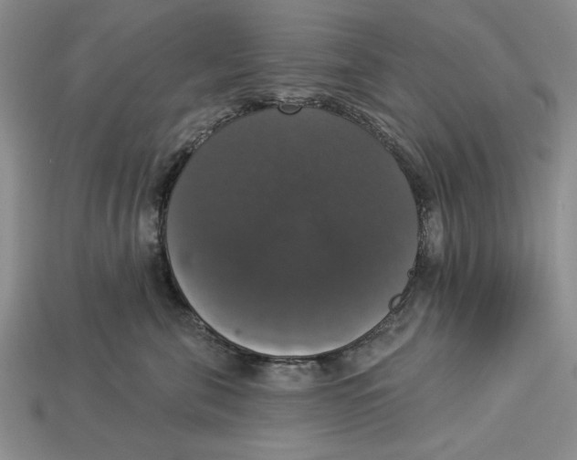 X0000112910571200909211033
