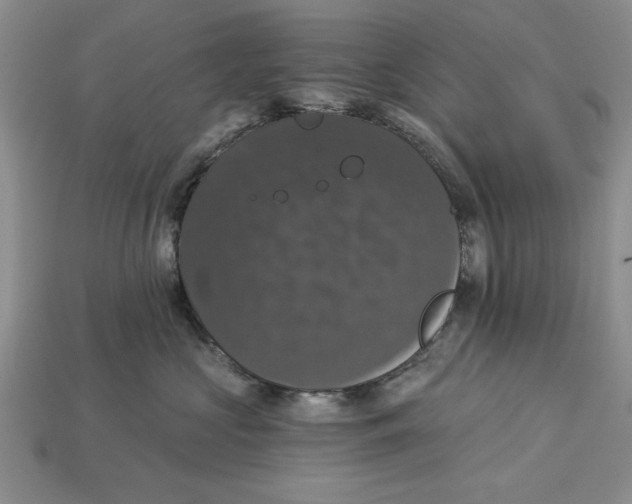 X0000112910573200909211033