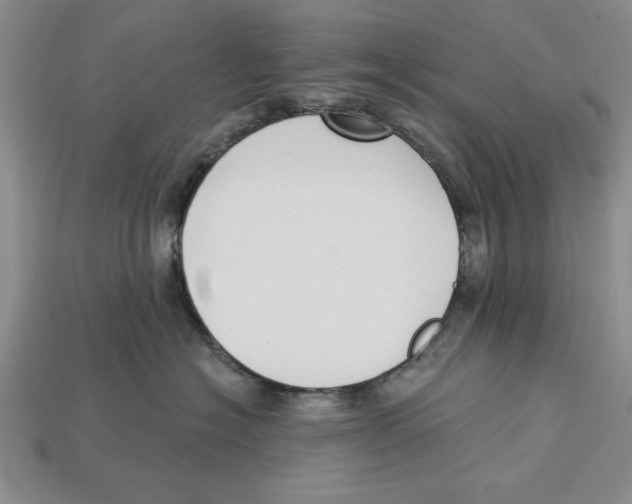 X0000112910574200909211033