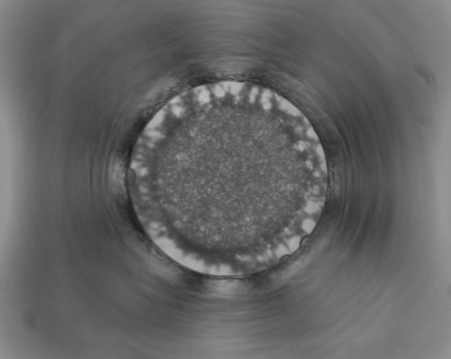 X0000112910575200909211034