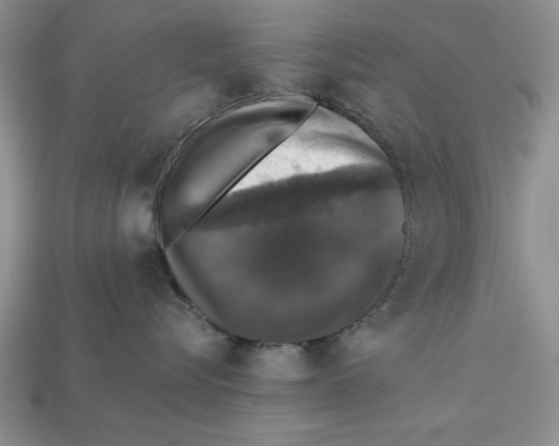 X0000112910576200909211034