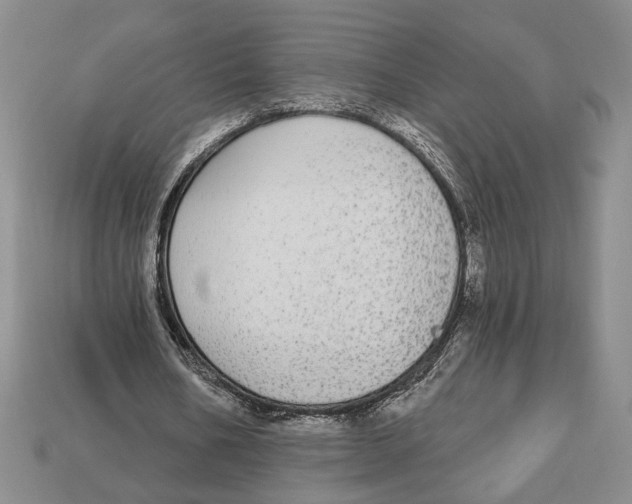 X0000112910578200909211033