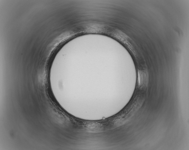 X0000112910579200909211033