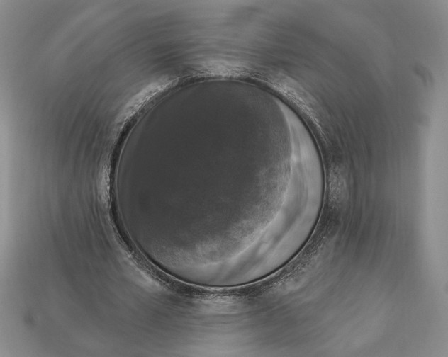 X0000112910581200909211033