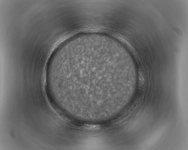 X0000112910582200909211033