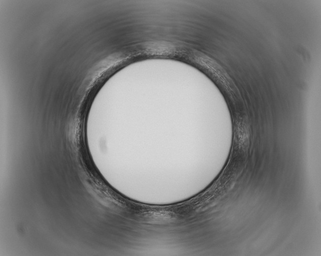 X0000112910583200909211033