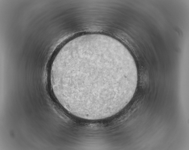 X0000112910584200909211033