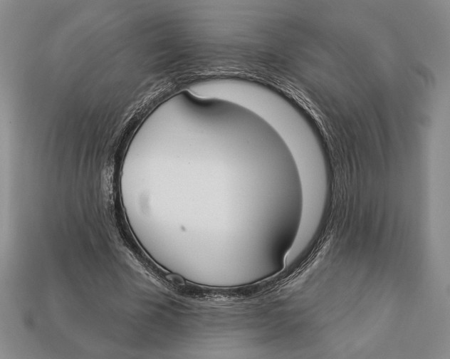 X0000112910585200909211033