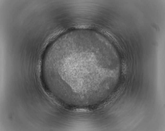 X0000112910586200909211033