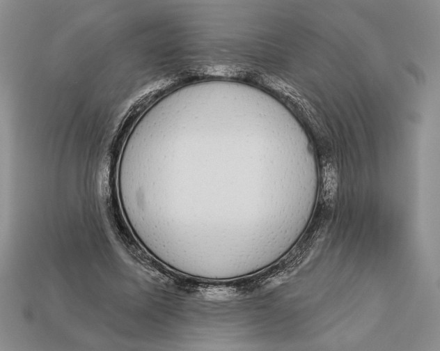 X0000112910587200909211033