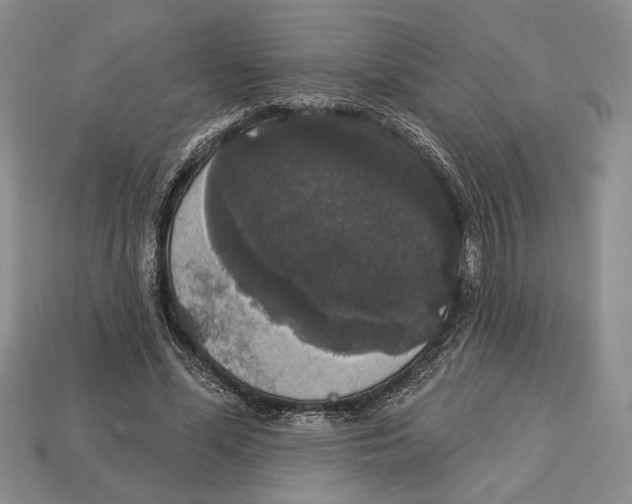 X0000112910588200909211033